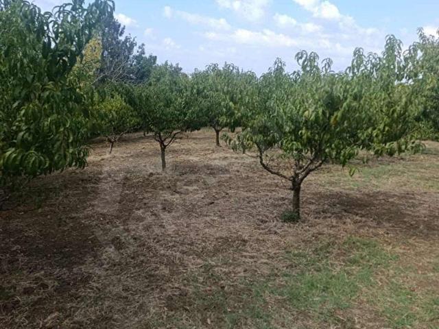 Karakadı, İnegöl içerisinde satılık Arsa