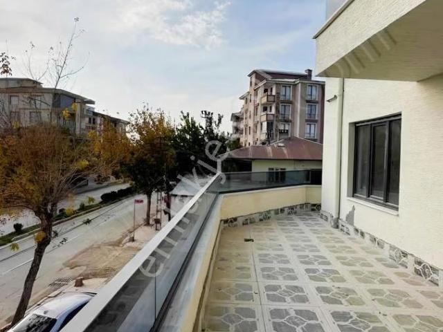 Van Merkez, Van içerisinde kiralık mülk