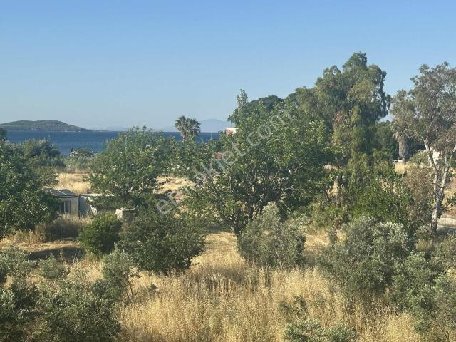 Urla, İzmir içerisinde kiralık mülk