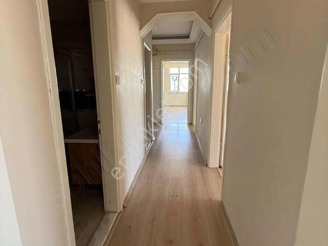 Rize içerisinde kiralık mülk