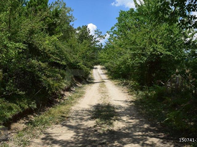 Bolu Merkez, Bolu içerisinde satılık Arsa