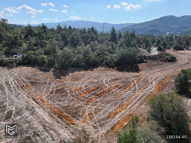 Karacalar, Göynük içerisinde satılık Arsa