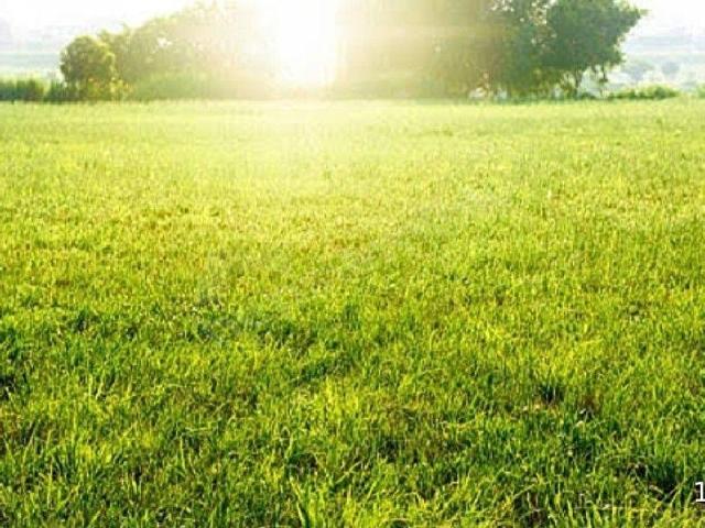 Arnavutköy, İstanbul içerisinde satılık Arsa