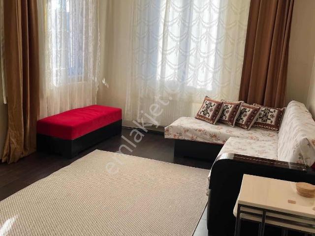 Balibey Mahallesi, Şile içerisinde kiralık mülk