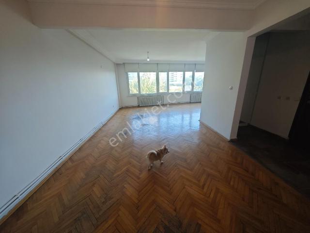 Beşiktaş, İstanbul içerisinde kiralık mülk