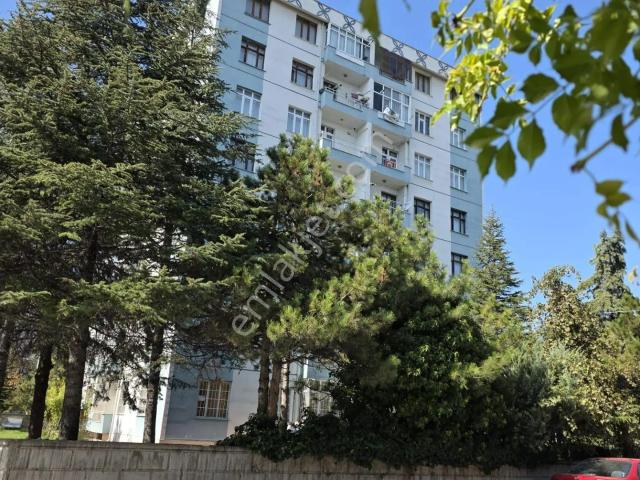 Konya, Selçuklu içerisinde kiralık mülk