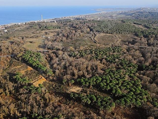 Arnavutköy, İstanbul içerisinde satılık Arsa