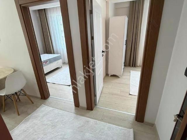 Atakum, Samsun içerisinde satılık mülk