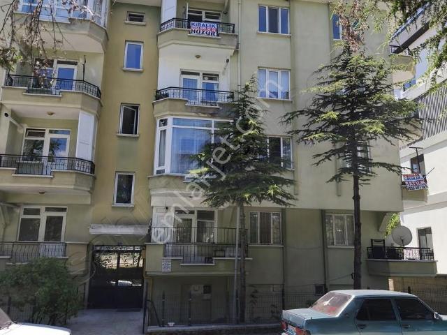 Afyon Merkez, Afyonkarahisar içerisinde kiralık mülk