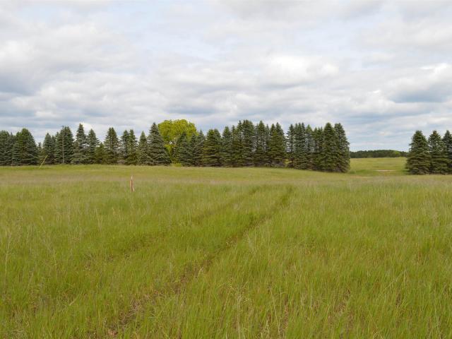 Land for sale in Paradise, Michigan