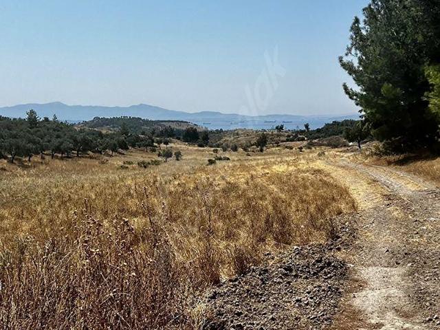 Dikili, İzmir içerisinde satılık Dükkan