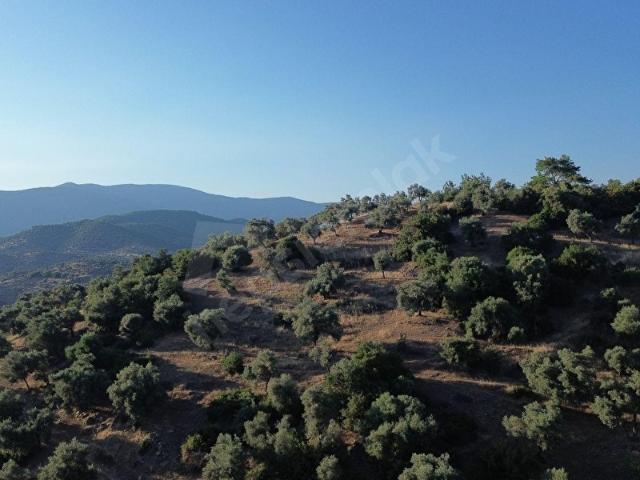 Bayindir, İzmir içerisinde satılık mülk