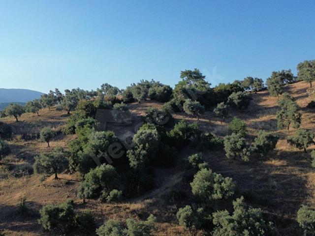 Bayindir, İzmir içerisinde satılık mülk