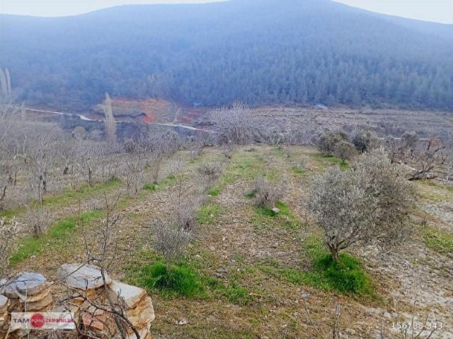 Bayindir, İzmir içerisinde satılık mülk
