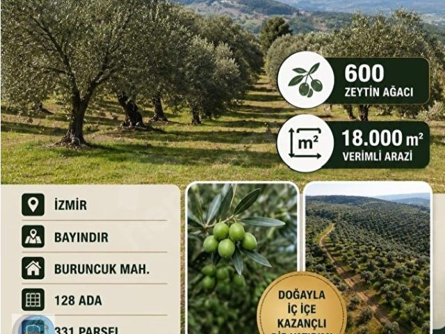 Bayindir, İzmir içerisinde satılık mülk