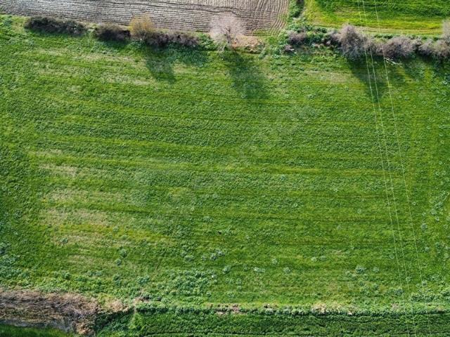 Bayindir, İzmir içerisinde satılık Arsa