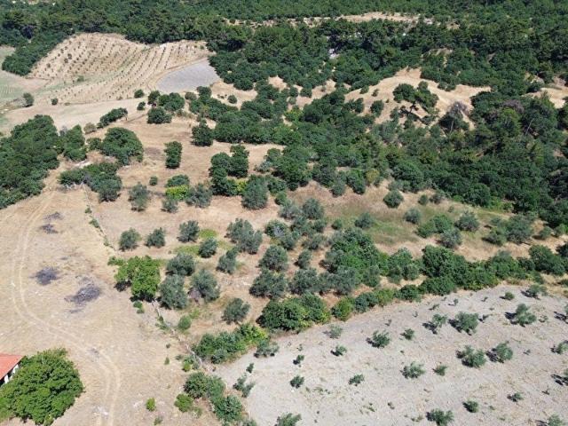 Bergama, İzmir içerisinde satılık Arsa