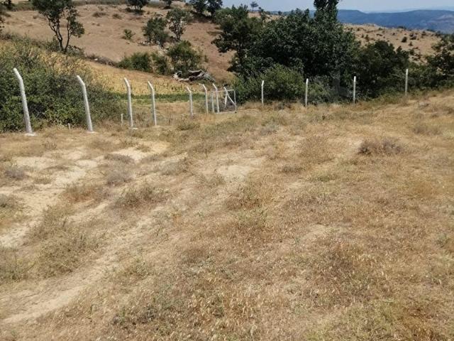 Bergama, İzmir içerisinde satılık Arsa