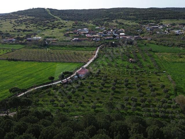 Bergama, İzmir içerisinde satılık Arsa
