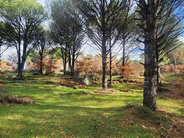 Kıranlı Mahallesi, Bergama içerisinde satılık Arsa
