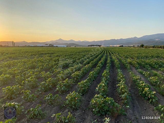 İzmir Merkez, İzmir içerisinde satılık Arsa