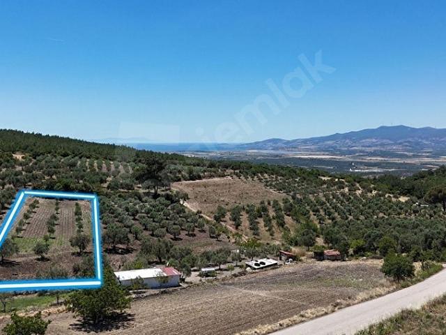 Bergama, İzmir içerisinde satılık Arsa