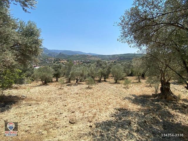 Bornova, İzmir içerisinde satılık mülk