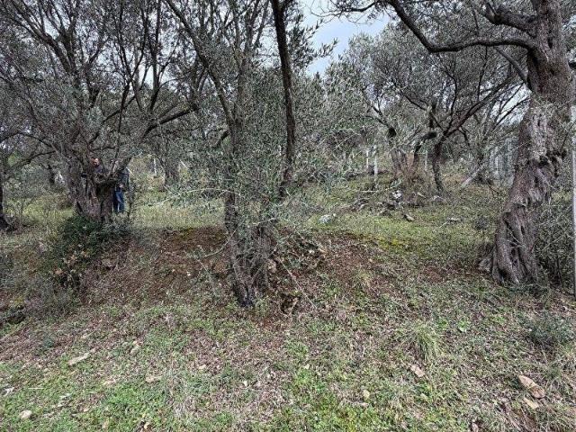Buca, İzmir içerisinde satılık mülk