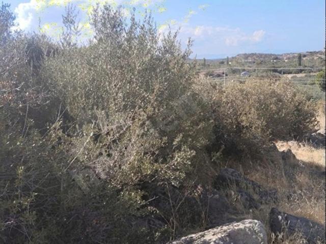 Dikili, İzmir içerisinde satılık Arsa