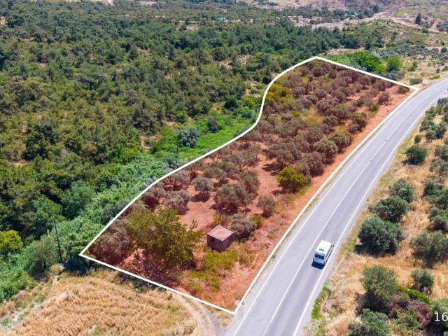 Ilıpınar Mahallesi, Foça içerisinde satılık Arsa