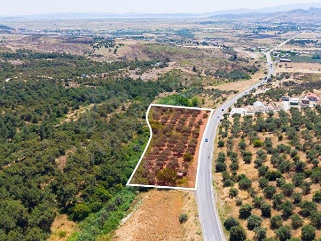 Foça, İzmir içerisinde satılık Arsa