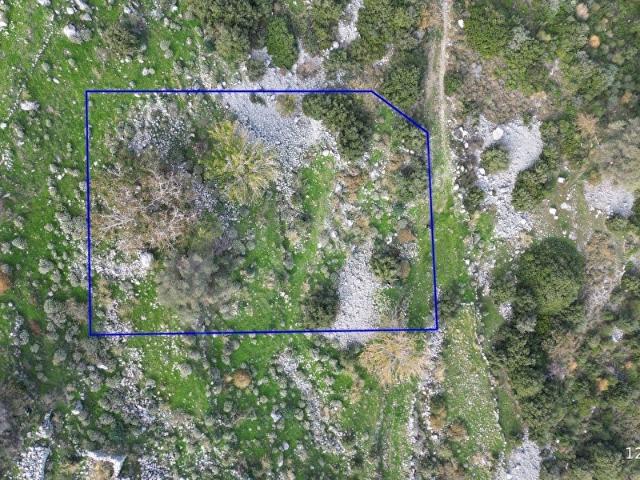 Karaburun, İzmir içerisinde satılık mülk