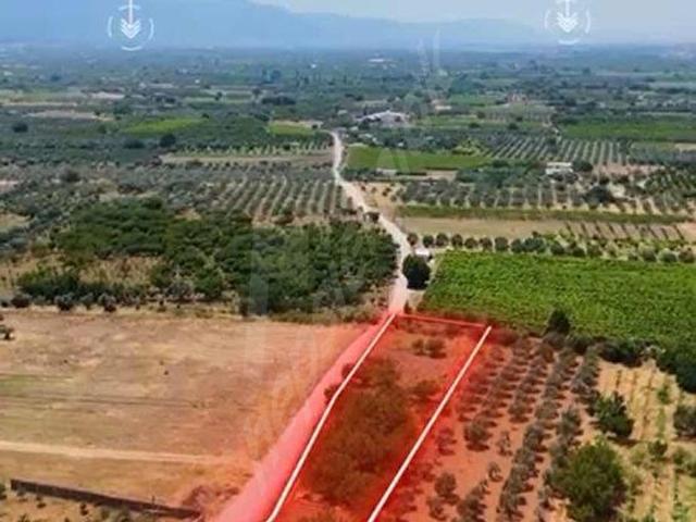 Kemalpaşa, İzmir içerisinde satılık mülk
