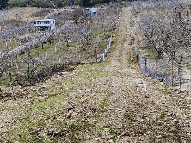 Kemalpaşa, İzmir içerisinde satılık mülk