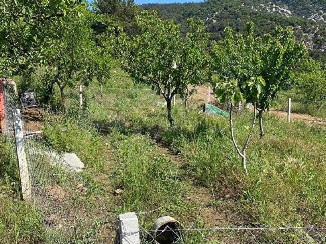Kemalpaşa, İzmir içerisinde satılık Arsa