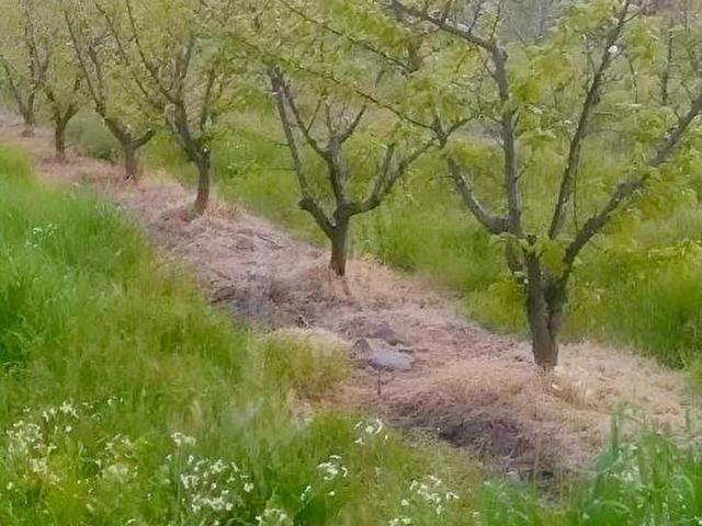 Kemalpaşa, İzmir içerisinde satılık Arsa