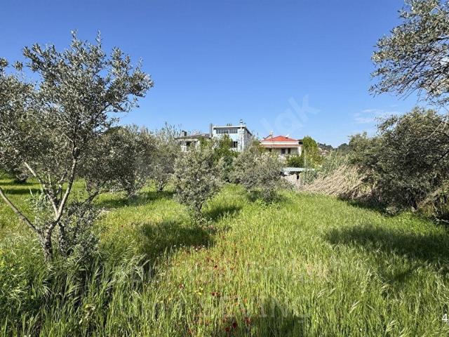 Kemalpaşa, İzmir içerisinde satılık mülk