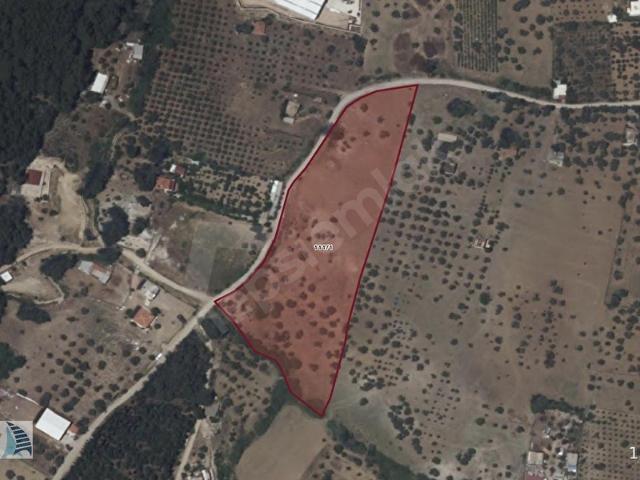 Kemalpaşa, İzmir içerisinde satılık Arsa