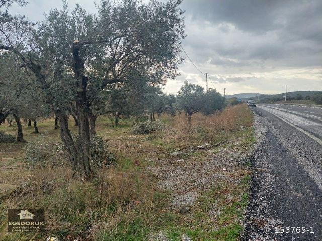İzmir Merkez içerisinde satılık Tarla İzmir Merkez içerisinde satılık Tarla