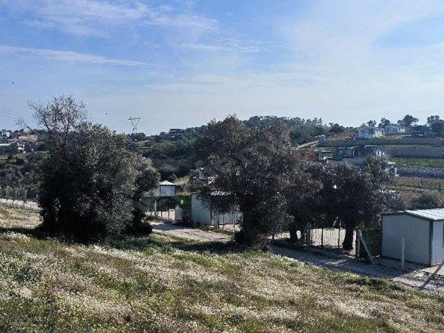 Menderes, İzmir içerisinde satılık Arsa