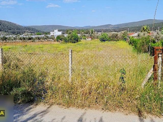 İzmir Merkez içerisinde satılık Tarla İzmir Merkez içerisinde satılık Tarla