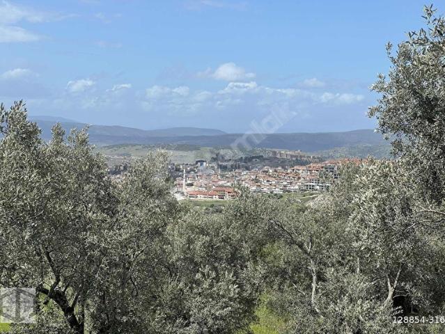 Selçuk, İzmir içerisinde satılık mülk