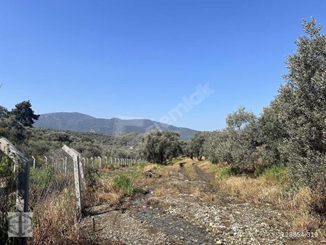 Selçuk, İzmir içerisinde satılık mülk