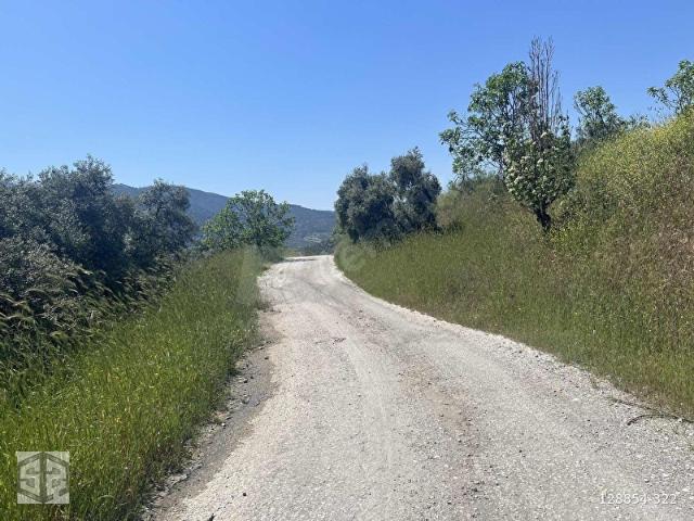 Selçuk, İzmir içerisinde satılık mülk