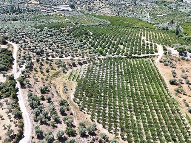Selçuk, İzmir içerisinde satılık mülk