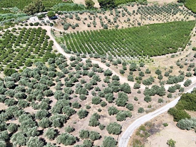 Selçuk, İzmir içerisinde satılık mülk