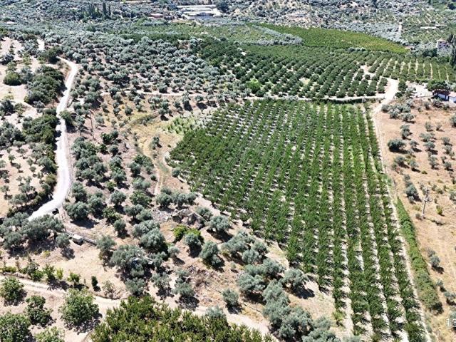 Selçuk, İzmir içerisinde satılık mülk