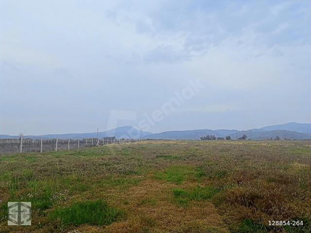Selçuk, İzmir içerisinde satılık Arsa