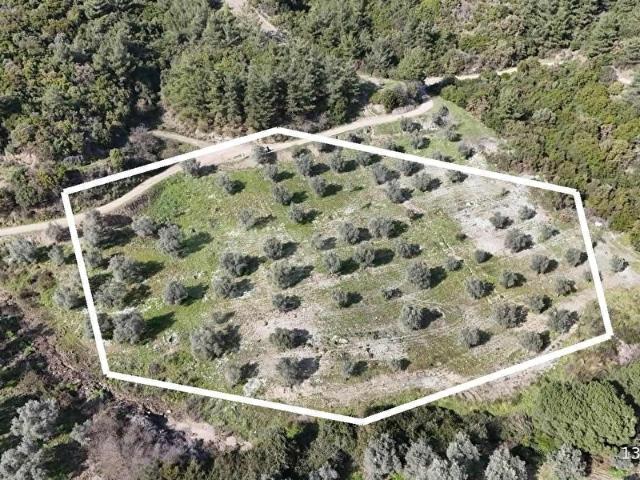 Selçuk, İzmir içerisinde satılık mülk