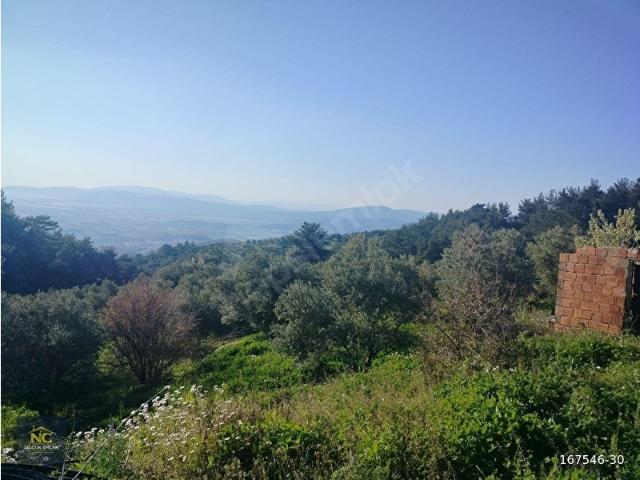 Selçuk, İzmir içerisinde satılık Arsa